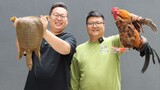 Bandun's Secret Recipe of Roast Chicken with Soft-shelled Turtle