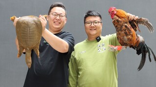 ซื้อตะพาบ 1 ตัว ไก่ตัวผู้อีกตัว 360 หยวน สูตรลับ "ผัดไก่กับตะพาบ"