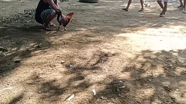 panalo dalawa tare kalaban