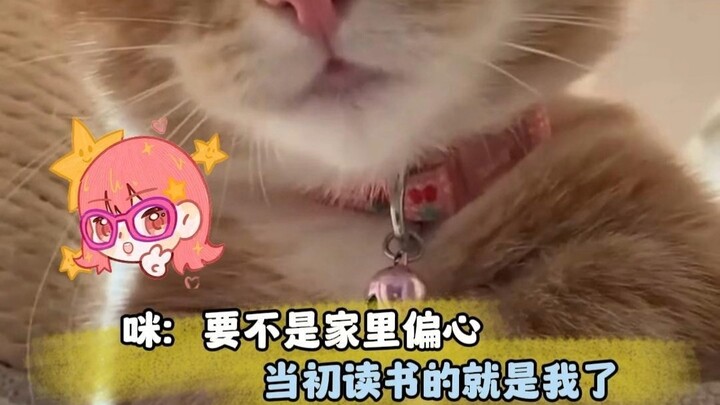 No wonder it’s the People’s Education Press edition—learning really does pack a punch!