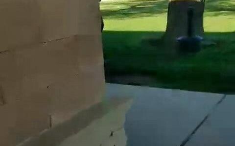 เด็กทำร้ายผู้ชายที่โตแล้วได้รับการปฏิบัติเหมือนอย่างใดอย่างหนึ่ง