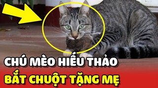 Chú mèo HIẾU THẢO tranh thủ BẮT CHUỘT TẶNG MẸ 😂 | Yêu Lu