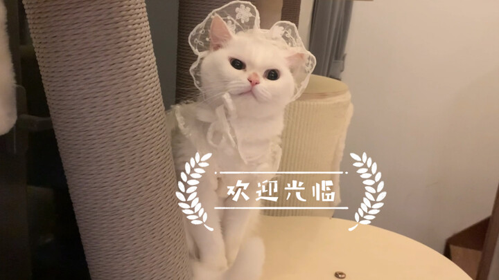 Toss it out, then try it on again.