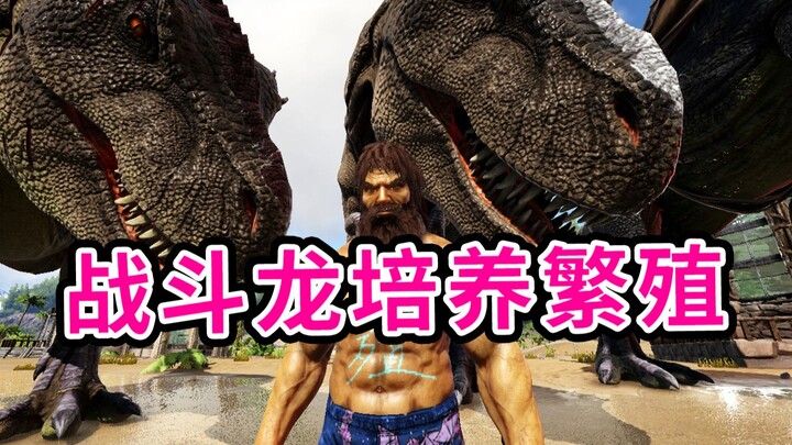 Ark Tips 07: Panduan Mudah dan Jelas untuk Membudidayakan Naga Tempur!