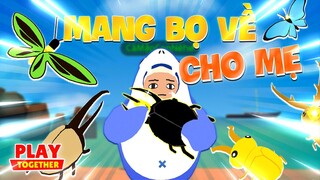 Play Together | Mang Bọ Về Cho Mẹ. Bật Mí Thời Gian Địa Điểm Và Cách Di Chuyển Để Bắt Full Bọ Hiếm