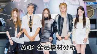 【ALL DAY PROJECT】全员身材分析