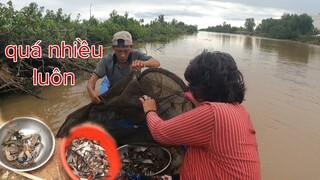 Tư Cà Khịa Ra Sông Đổ Dớn Dính Nhiều Con Này Thấy Mê