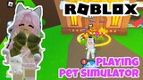 Roblox : Playing Pet Simulator (fake)