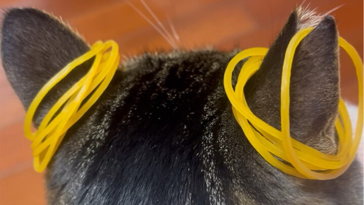 กลางคืนคุณควรหลับตาแต่ตื่นอยู่นะ