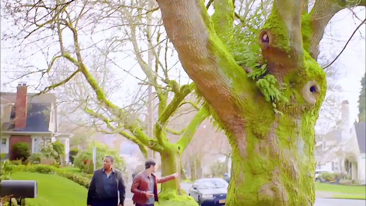 Năm 2009, Lương Ích Chuẩn tự biên, tự đạo diễn, tự đóng vai chính trong bộ phim tự truyện "Ruồi xanh