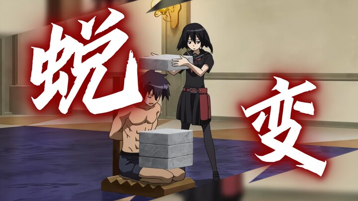 这次 ⚡花里胡哨⚡