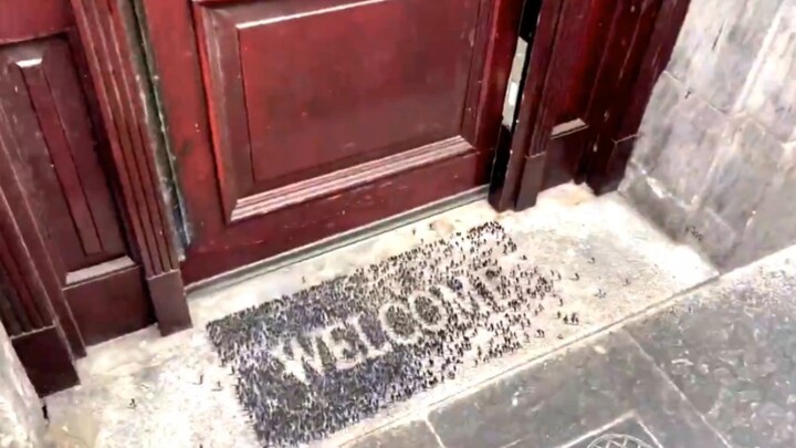 “Bosan Dijajah” Seniman Merevitalisasi Potensi Mereka yang Didiskriminasi dan Dibuang oleh Masyaraka