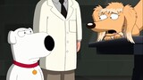 Family Guy #133 Terlalu keterlaluan, Brian diintimidasi di depan minotaur, kebohongan Hari Valentine