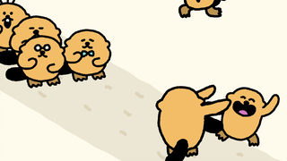 「 Takata Bear」👋 | Sea Otter Band