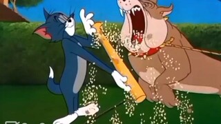 tom và Jerry chơi máu quá 🤣🤣