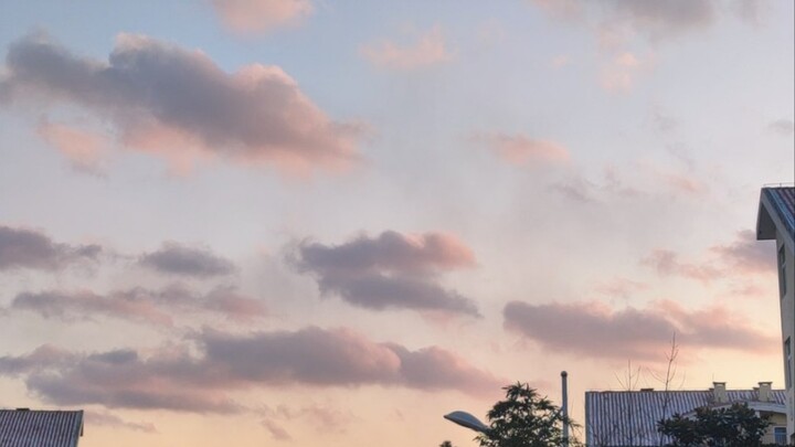 Năm ba nghiên cứu sinh rồi, giờ nhìn lại chuyện chọn thầy hướng dẫn.