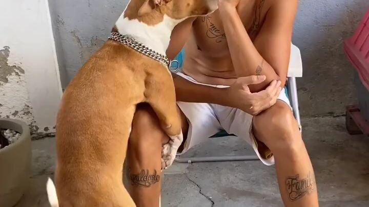 เท่
