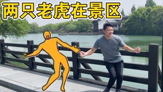 两只老虎爱跳舞 - 景区篇