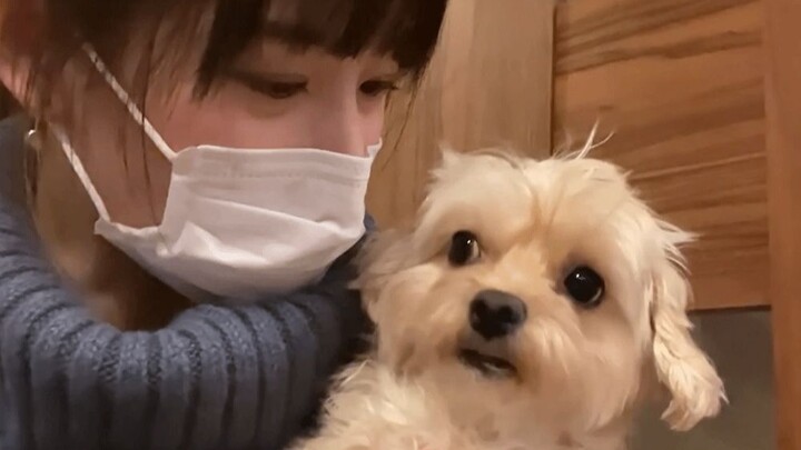 【โคชิมิซุ อามิ】หมาของฉันเต้นได้!