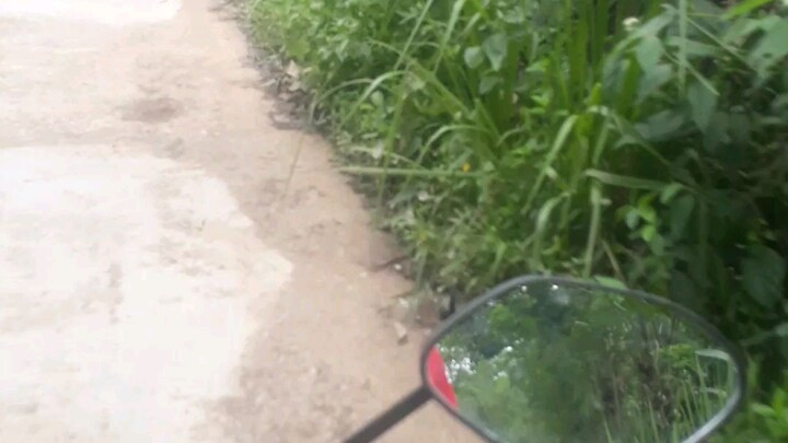 ofrood