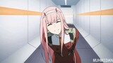 Tonton sampai habis! amv zero two