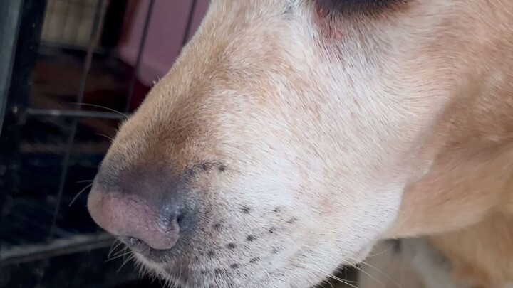 Sebentar lagi aku selesai nge-rush~