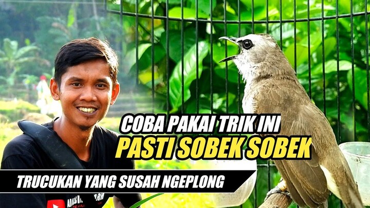 RAWATAN TRUCUKAN AGAR SUARA KERAS/NGEPLONG DAN BAGUS
