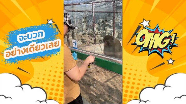 จะบวกอย่างเดียวเลย