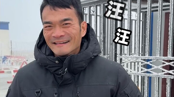 كلاب التبت الأصيلة: تعالوا نلقي نظرة على شكلها الحقيقي!