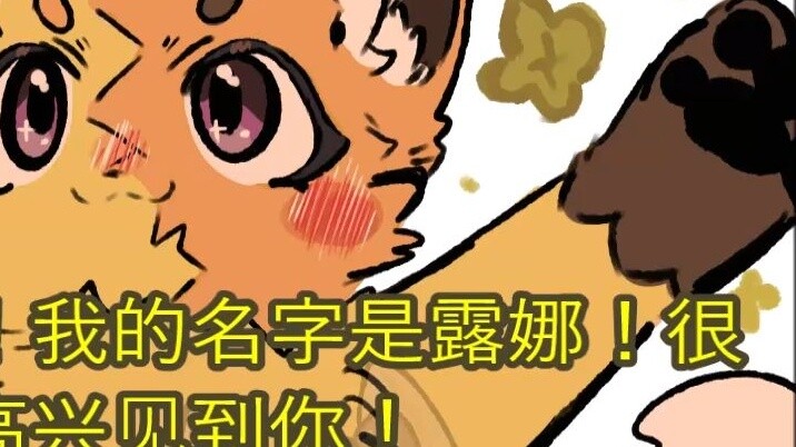 I'm on Bilibili now! 🌸❤