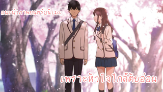 แนะนำอนิเมชั่น|เพราะหัวใจใกล้ตับอ่อน|ฉันขอตับอ่อนของนายนะ