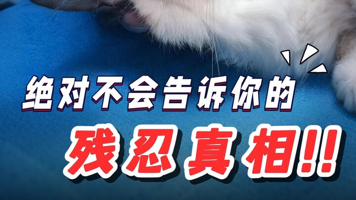 Quá kinh hoàng❗ Sự thật tàn nhẫn trong các bệnh viện thú cưng...⚠️⚠️