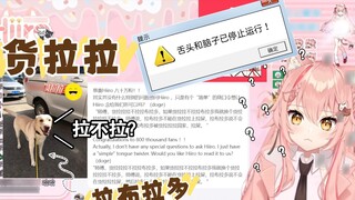 Bạn lại bắt nạt mèo nước ngoài nữa à? Lala Lala Labrador?