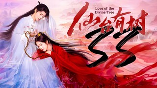 EP33 Love.of.the.Divine.Tree (2025)