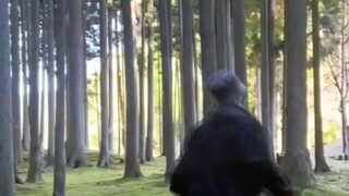 221118 SEVENTEEN 徐明浩THE8 大自然中汲取力量☀️💛#一起享受大自然的美 #黑马计划 零站