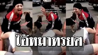 รวมคลิปตลกๆ : โดนสมหมาทรยศเข้าให้เเล้วสิ!!