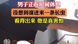 体育生在房间休息 没想到溜进来一条蛇！大声尖叫