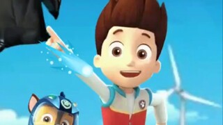 Why is the Paw Patrol petrified?