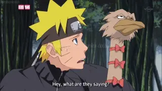 Naruto Shippuden (Tagalog) episode 254