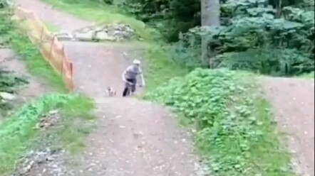How do you find your way? Doggy: Just follow me!