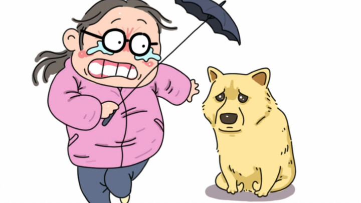Dog: I didn’t even hit anyone, I feel so wronged!