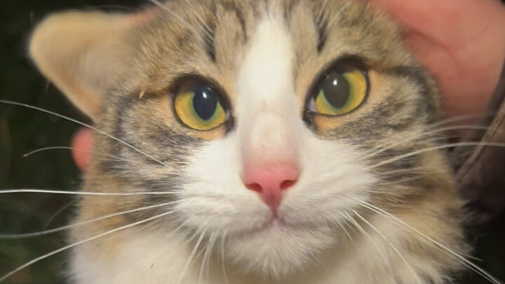 Charlotte won’t let me do farm work.