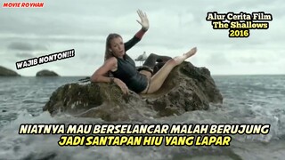 PANTAI BAGUS YANG TAK SESUAI EKSPEKTASI | Alur Cerita Film The Shallows 2016