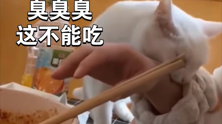 猫：我现在出去捕鱼，你不要在吃了！