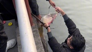 Kakak laki-laki tertua membagikan separuh brosur dan membantu menangkap ikan.