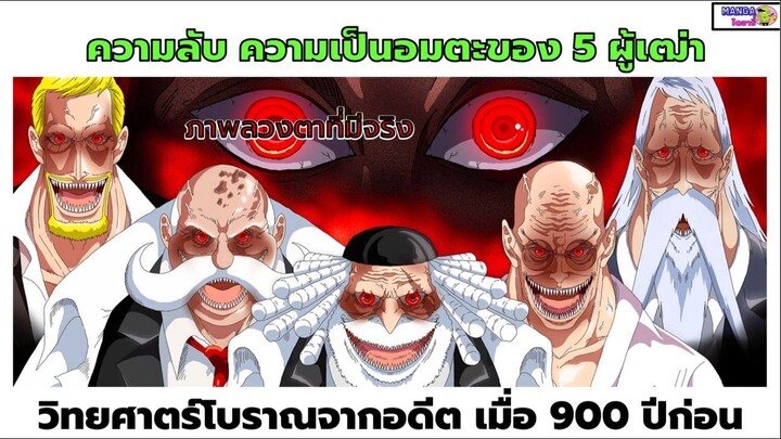 วันพีช- ความลับ พลังอมตะ ของ 5 ผู้เฒ่า วิทยศาสตร์จากอดีต 900 ปีก่อน