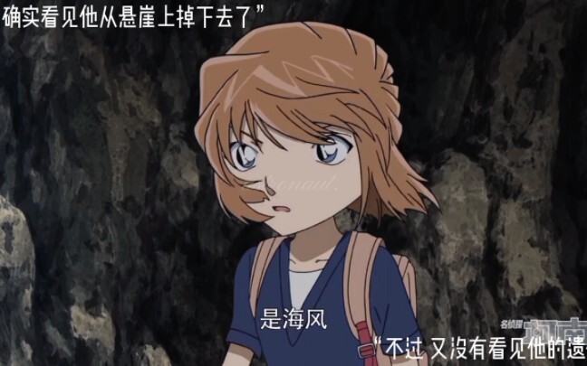 "Tôi đã nhìn thấy anh ấy rơi khỏi vách đá nhưng tôi không nhìn thấy thi thể anh ấy."
