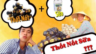 THỐT NỐT SỮA Đặc Biệt | Đá Dựng - Hà Tiên - Thon Trần