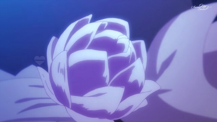 flowers violet
