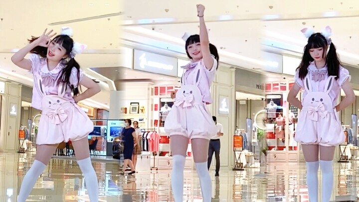 It's a cute little rabbit on the roadshow~